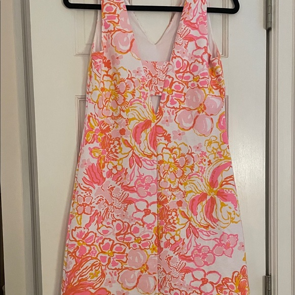 Lilly Pulitzer Happiness Is Mikayla Dress - Picture 6 of 6